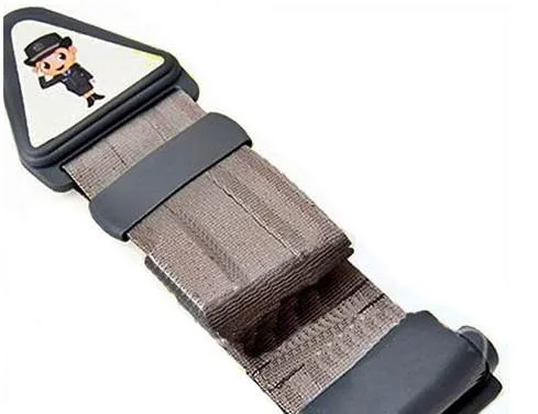 Adjustable Child Seatbelt