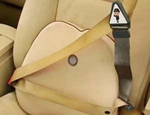 Adjustable Child Seatbelt