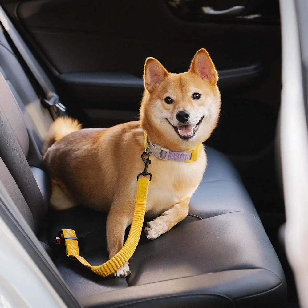 Buffer Adjustable Cool Dog Accessories Car Seat Belt