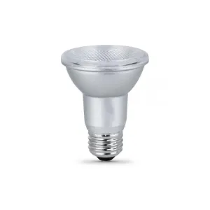 LED PAR20 Light Bulbs