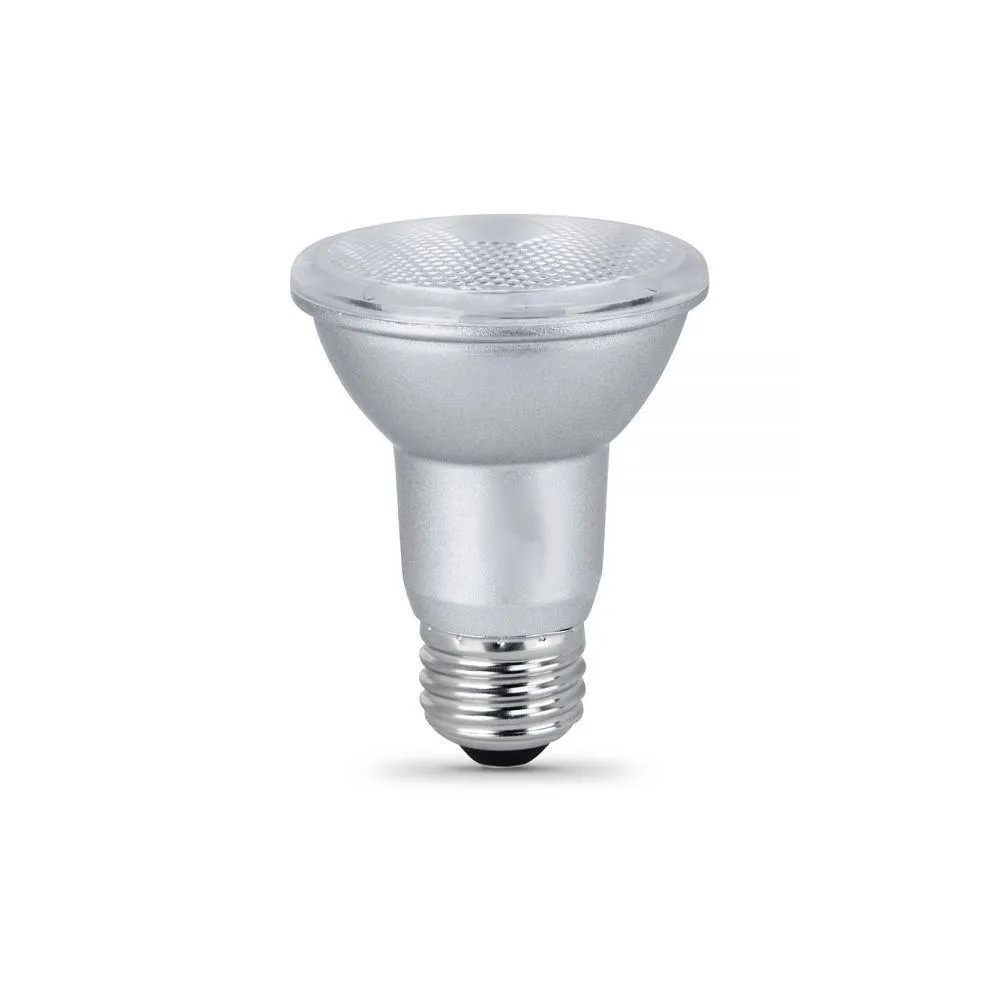 LED PAR20 Light Bulbs
