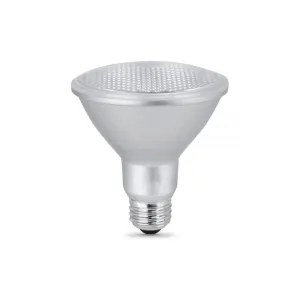 LED PAR30 Light Bulbs