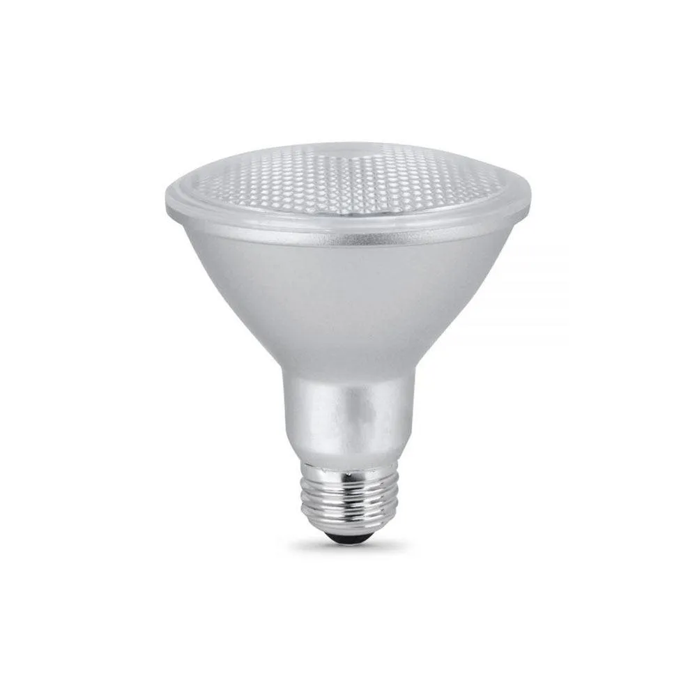 LED PAR30 Light Bulbs