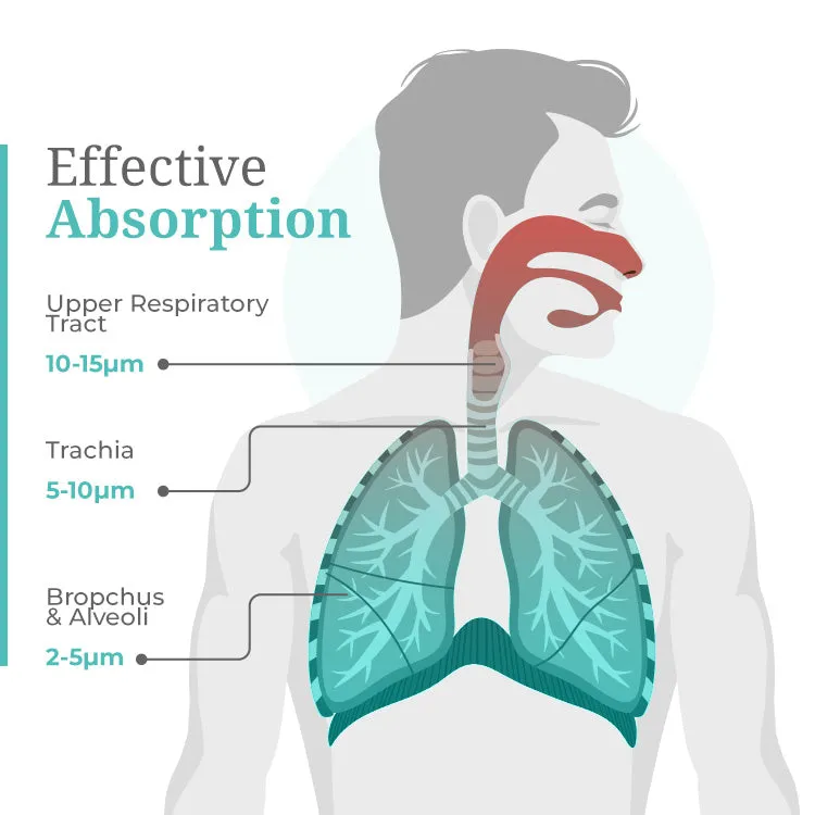 Ornavo Rechargeable Portable Mesh Nebulizer - Efficient Respiratory Relief Anywhere, Anytime